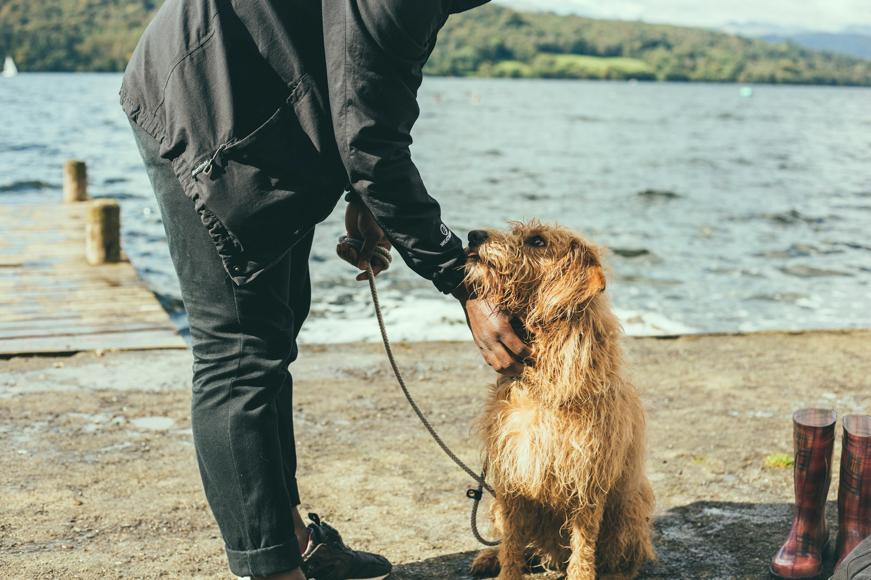 Man and dog standing near a dock