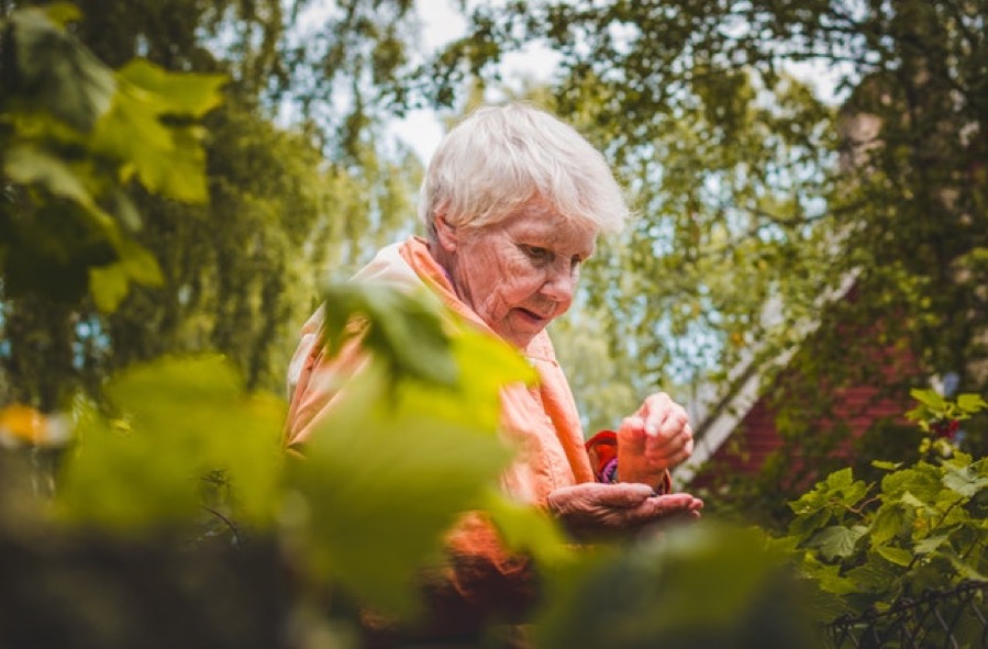 The Seven Stages of Alzheimer’s Disease