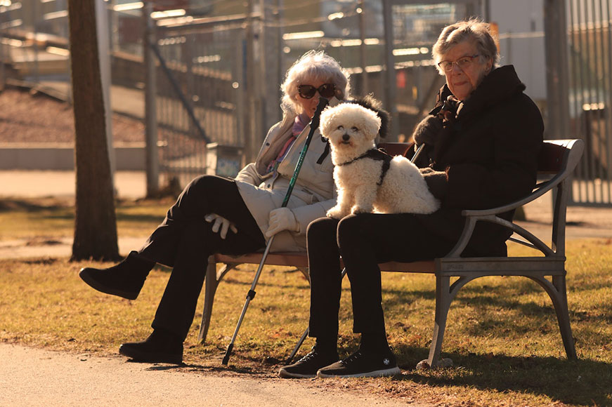 Two senior ladies on a park bench. One of them is holding a walking pole, the other has a small white curly-haired dog on her lap.