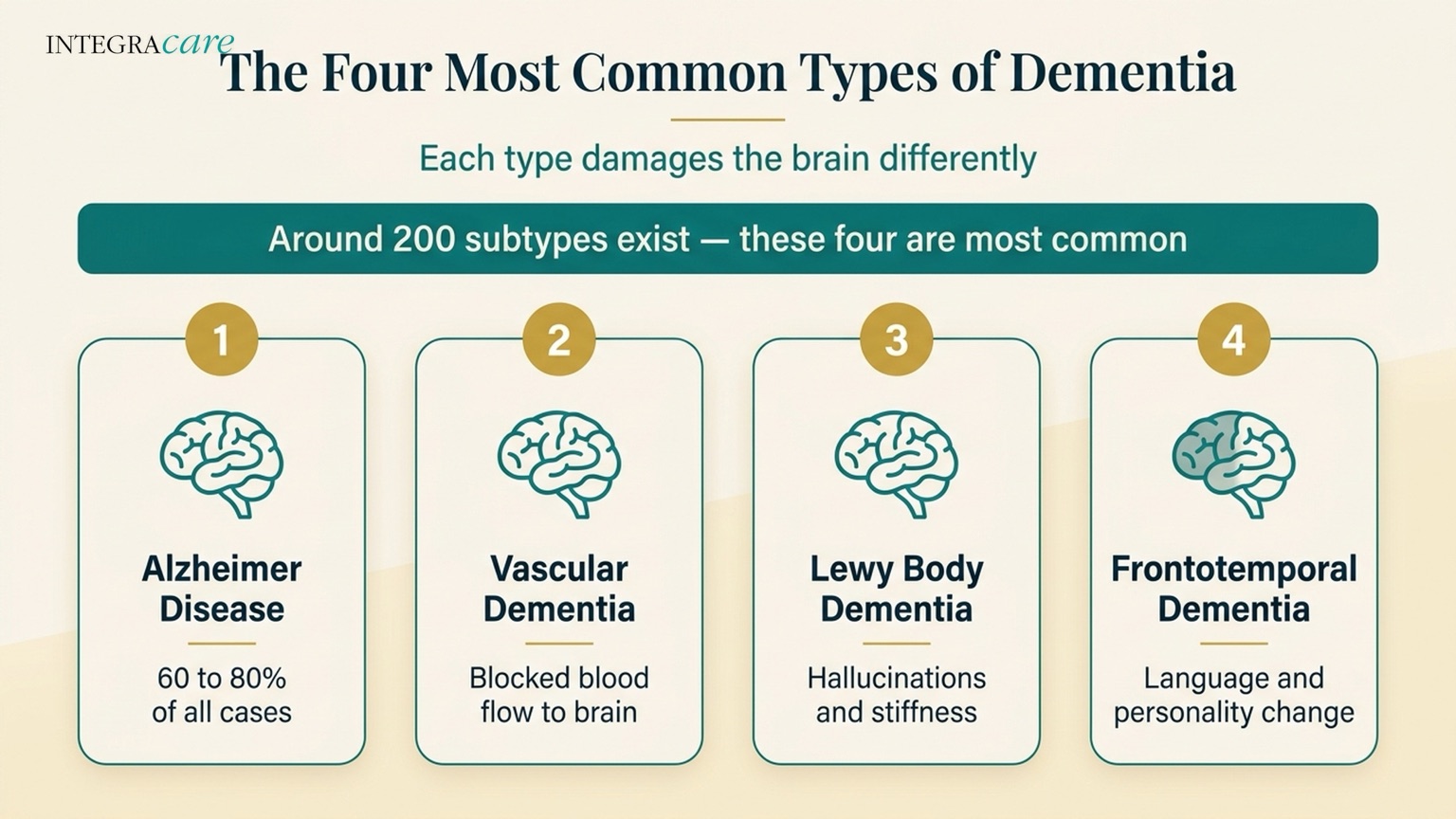 Infographic of the four most common types of dementia: Alzheimer's disease, vascular dementia, Lewy body dementia, and frontotemporal dementia