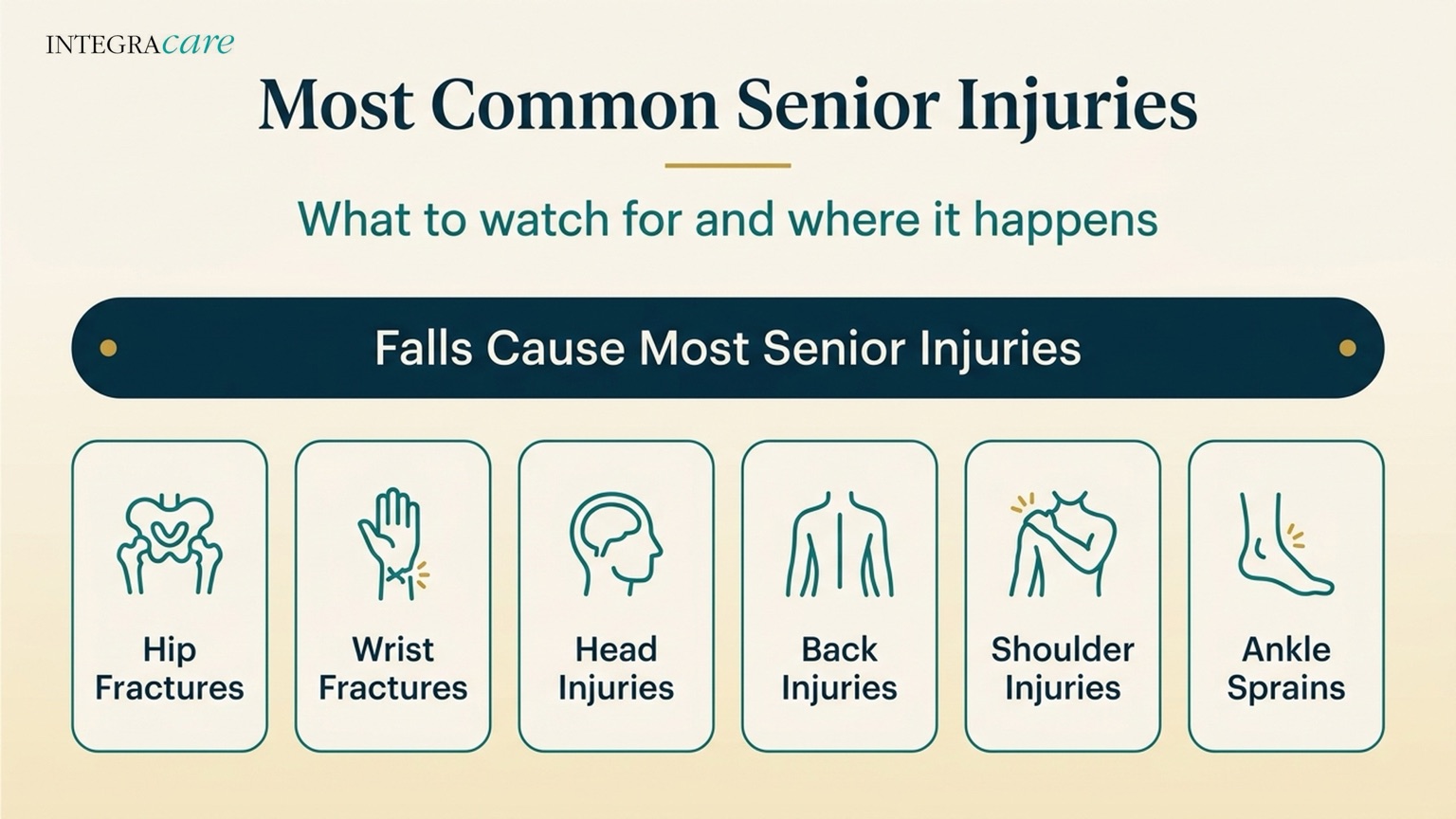 Infographic titled Most Common Senior Injuries, noting that falls cause most senior injuries and listing hip fractures, wrist fractures, head injuries, back injuries, shoulder injuries, and ankle sprains